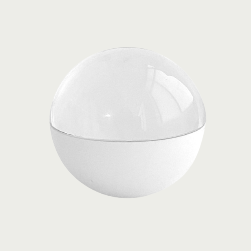 Nest Go Video Ball