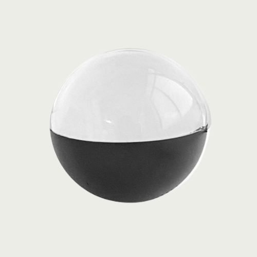 Nest Go Video Ball